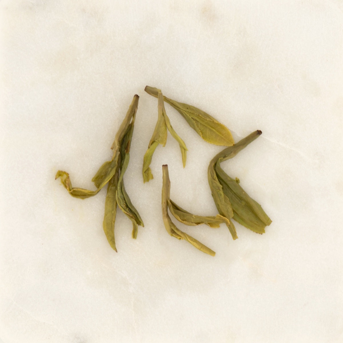 Dragon Well Green Tea, the wet leaf after brewing [dragon-well-green-tea-05-wet]